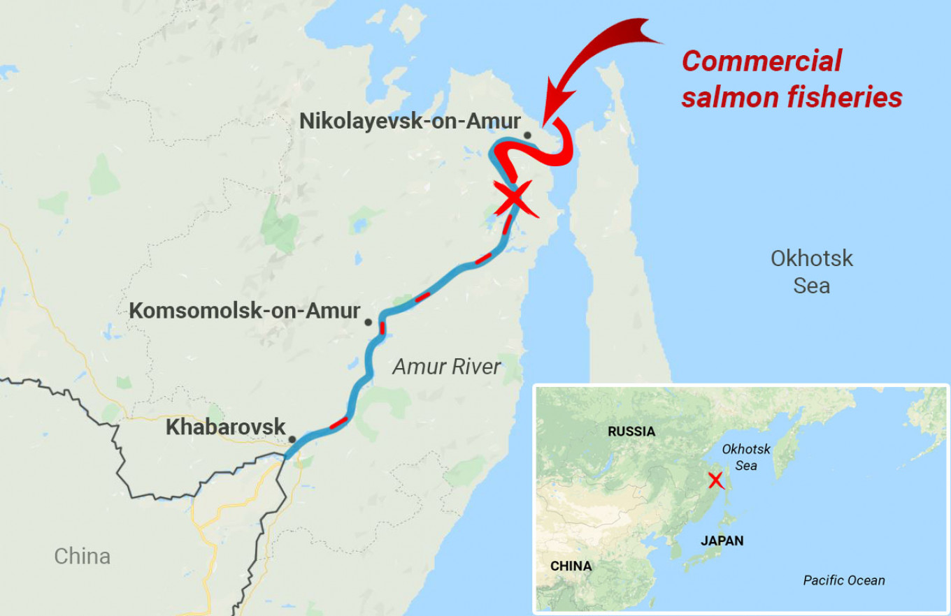 Salmon Is Disappearing From Russia’s Amur River. It’s Taking Local Tradition With It.