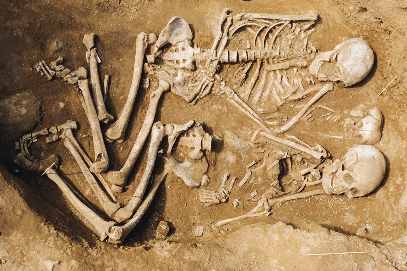 Siberian Farmer Unearths Neolithic Burial