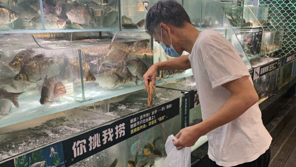 Chinese Authorities Find Coronavirus on Frozen Squid From Russia