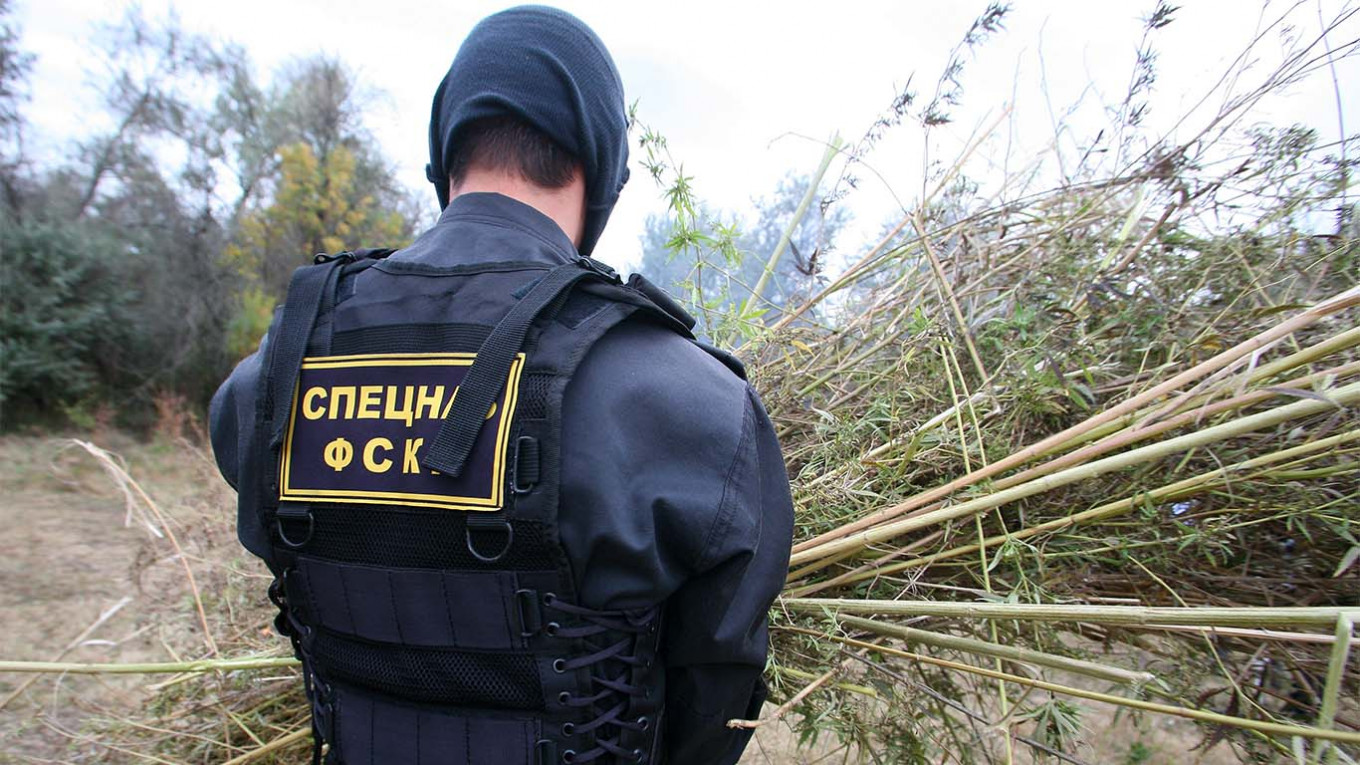 Russian Narcotics Officer Caught Growing Marijuana to Meet Drug Arrest Quota