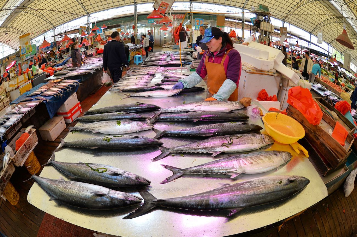 China Restricts Russian Seafood Imports After Coronavirus Found on Packaging