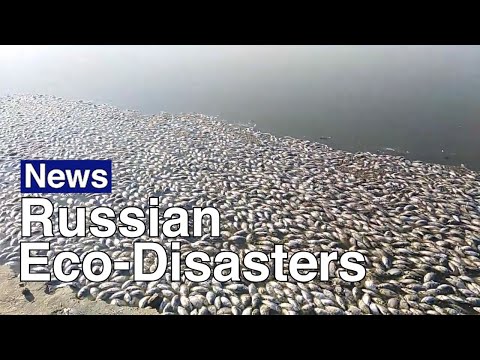 Russian Eco-Disasters Spark Environmental Fears