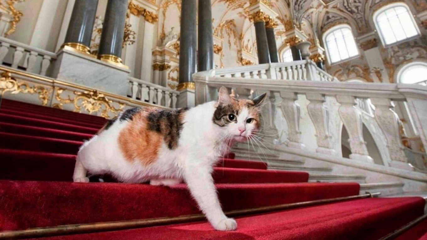 Frenchman Leaves Inheritance to St. Petersburg’s Hermitage Cats