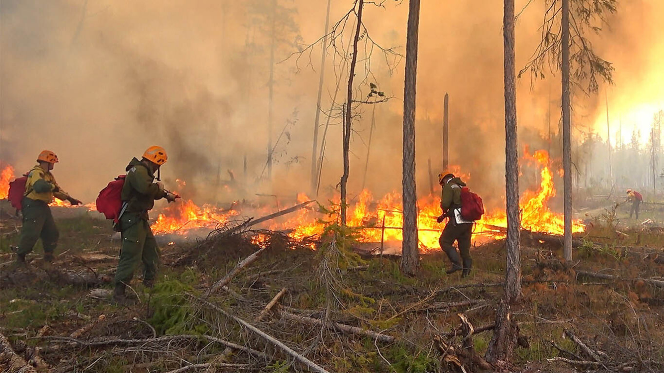  Russian Aerial Forest Protection Service / TASS 