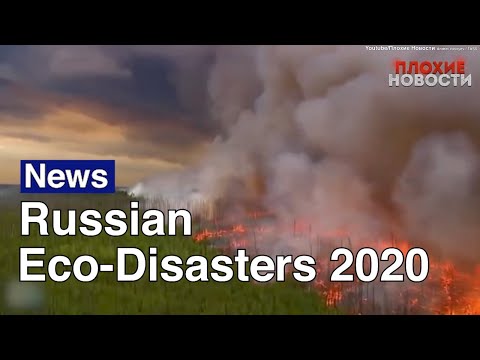 Russia’s Environmental Disasters in 2020