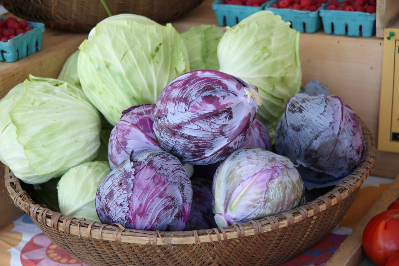  Start with fresh cabbage Jennifer Eremeeva / MT 