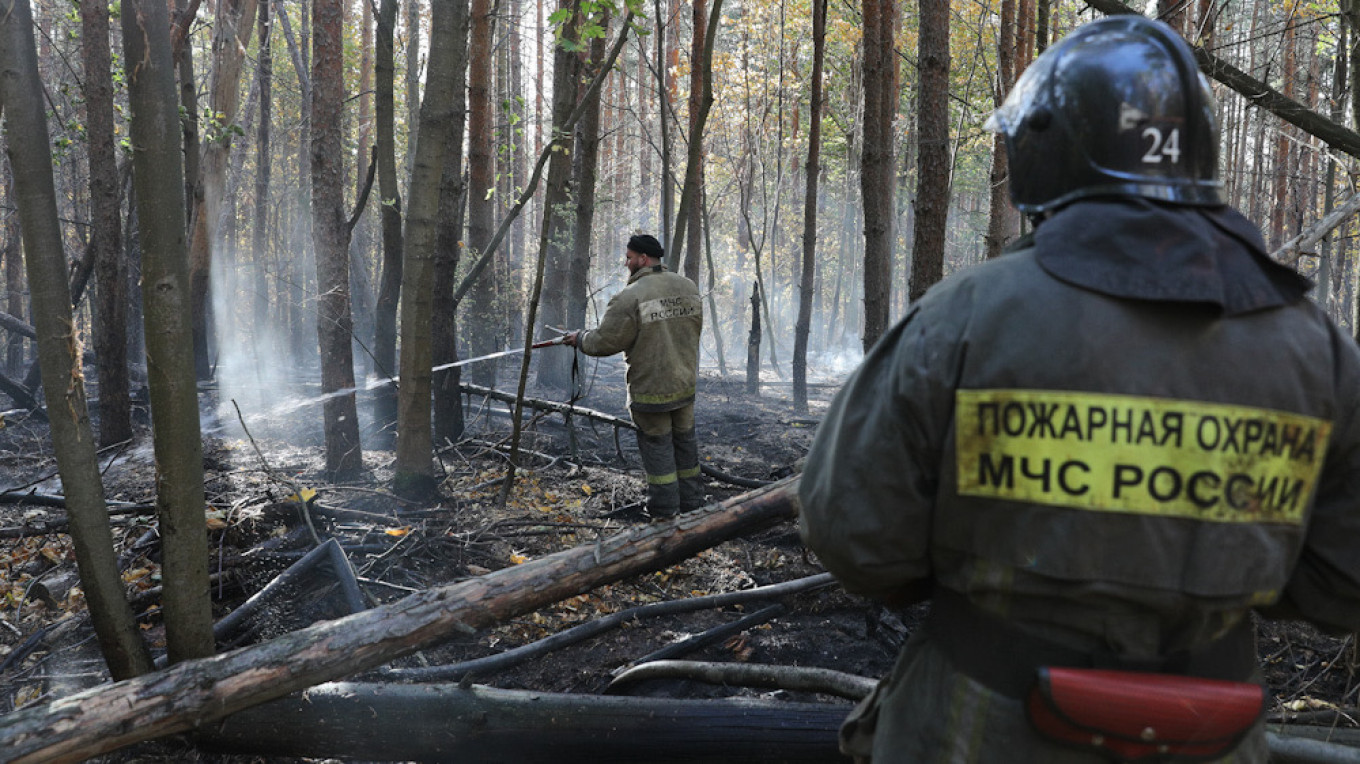Endangered Wildlife Killed in Russian Nature Park Fire – Activists