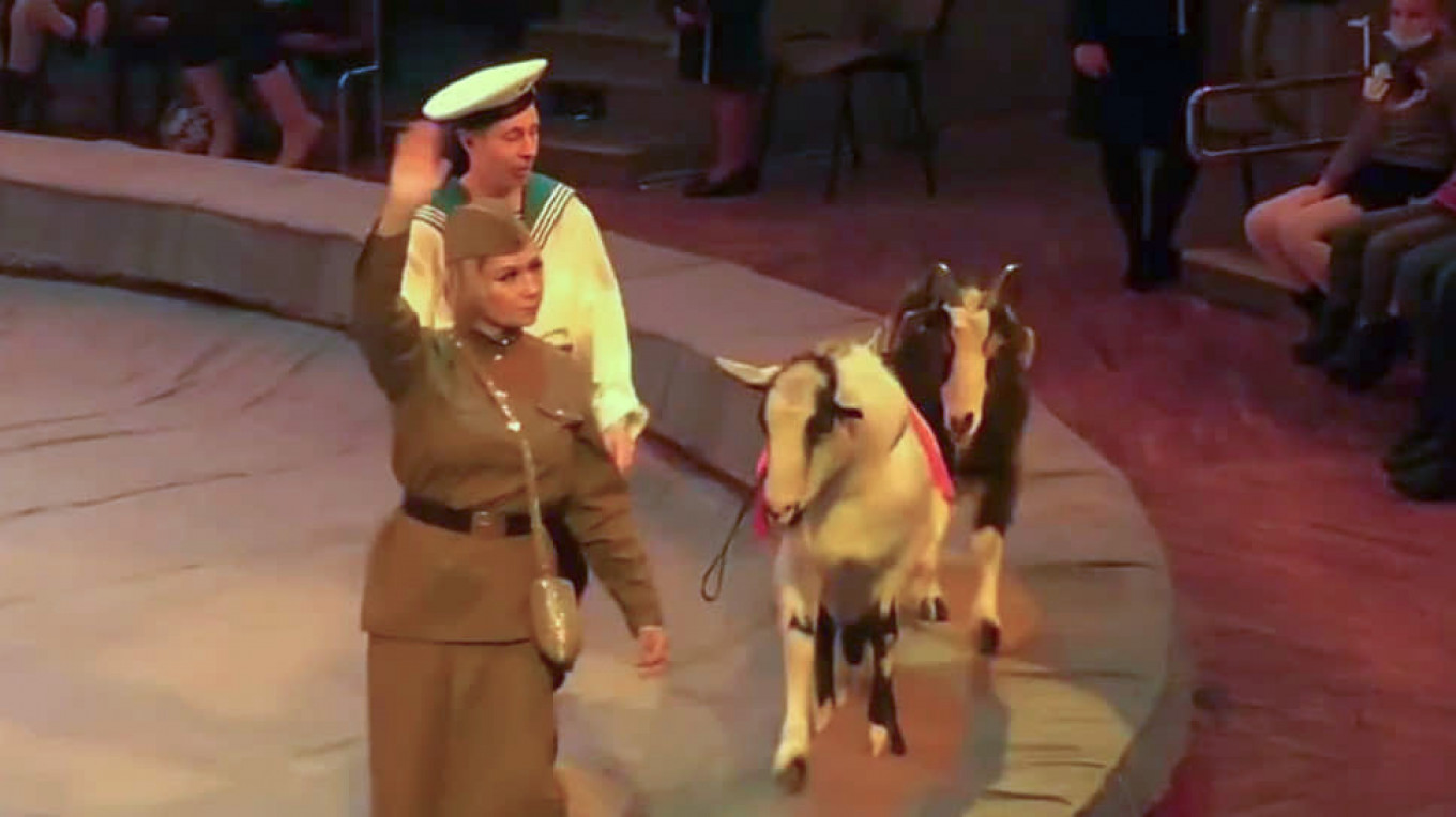 Russia Probes Circus Over Monkey, Goats in Nazi Garb