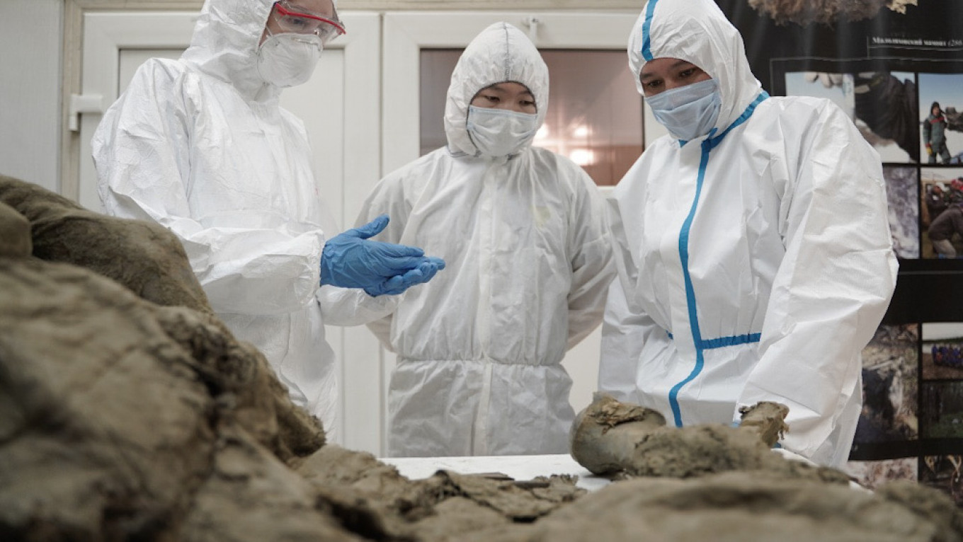 Russian Scientists Probe Prehistoric Viruses Dug From Permafrost