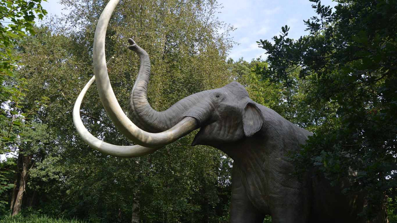 World’s Oldest DNA Found in Siberian Mammoth Teeth