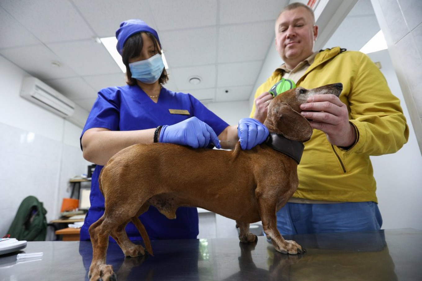 Russia Approves ‘World’s First’ Coronavirus Vaccine for Pets