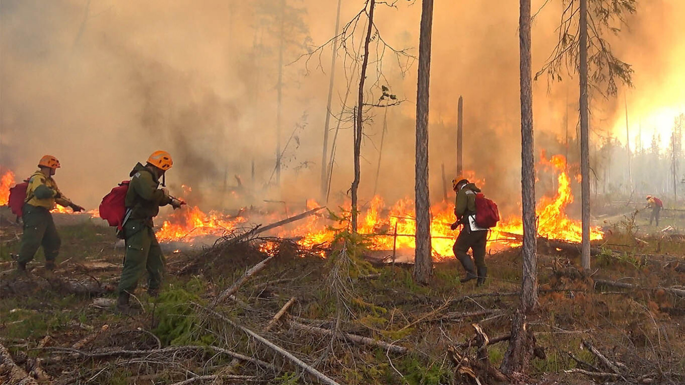 Russia Forecasters Warn Over Siberia Forest Fires