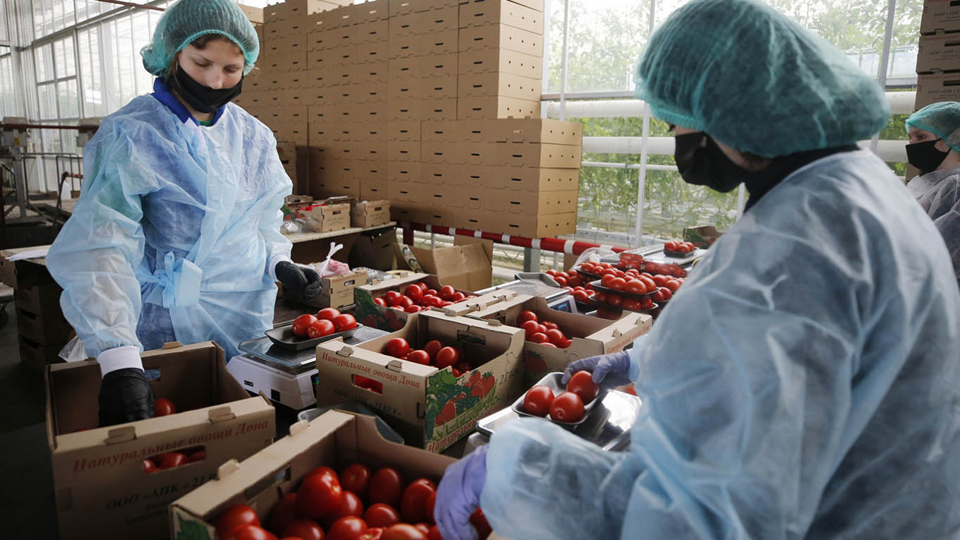 Russia Sets Record Food Exports Amid Pandemic, Rising Prices