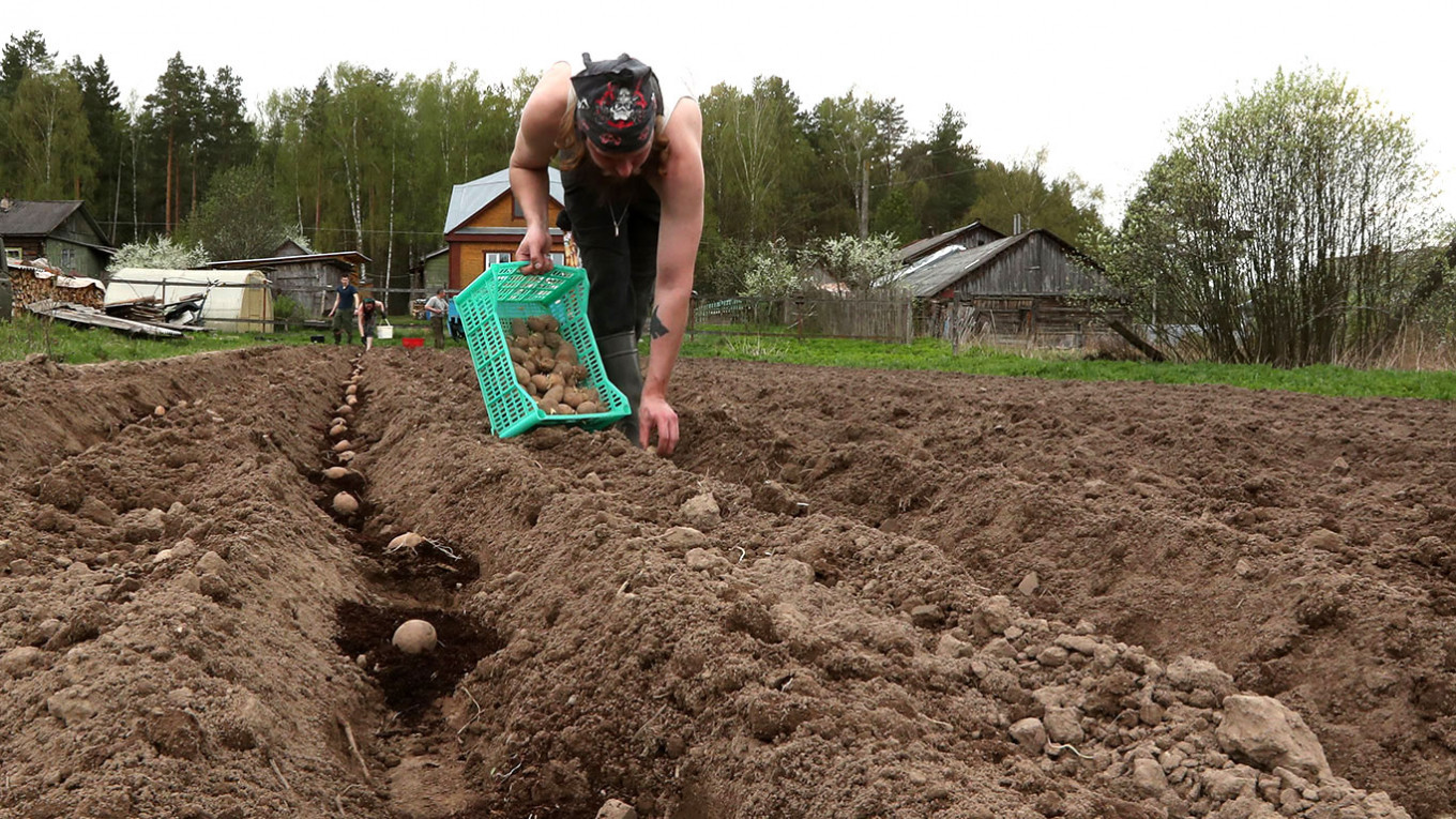 Russian Car Factory Gives Farmland to Furloughed Workers