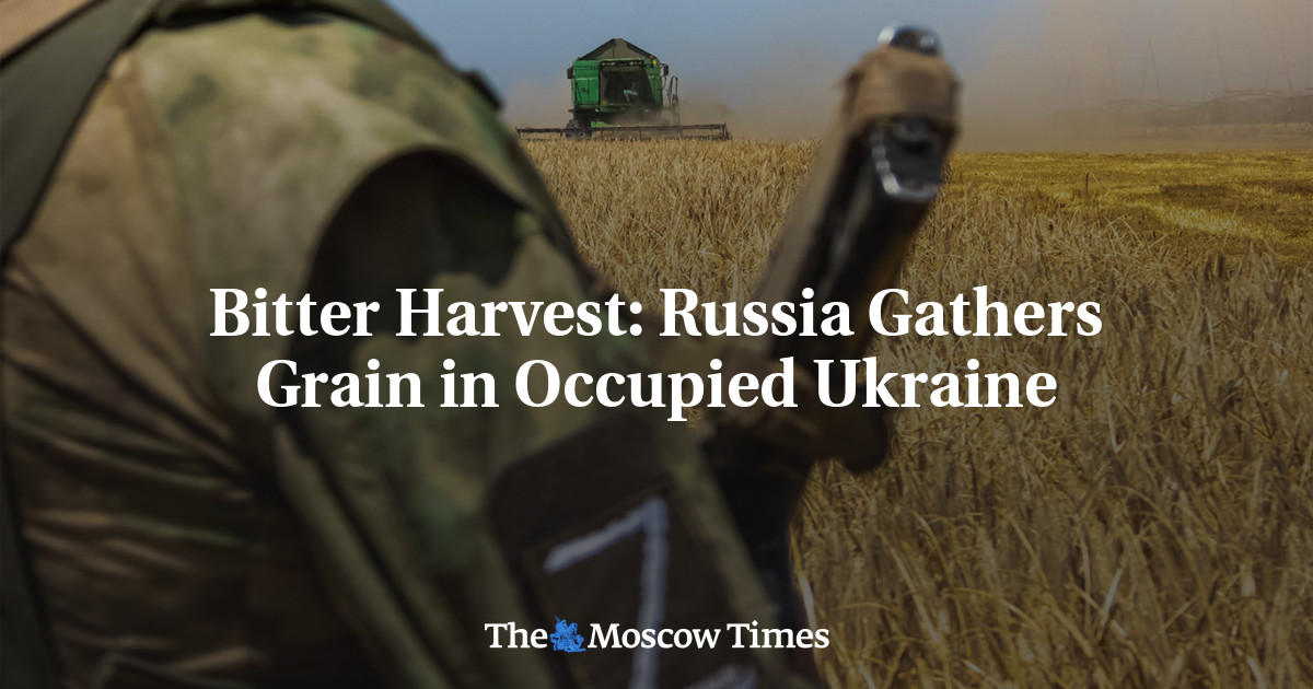 Bitter Harvest: Russia Gathers Grain in Occupied Ukraine