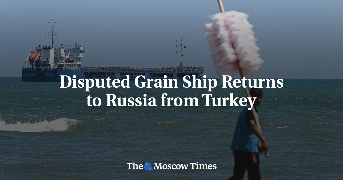 Disputed Grain Ship Returns to Russia from Turkey