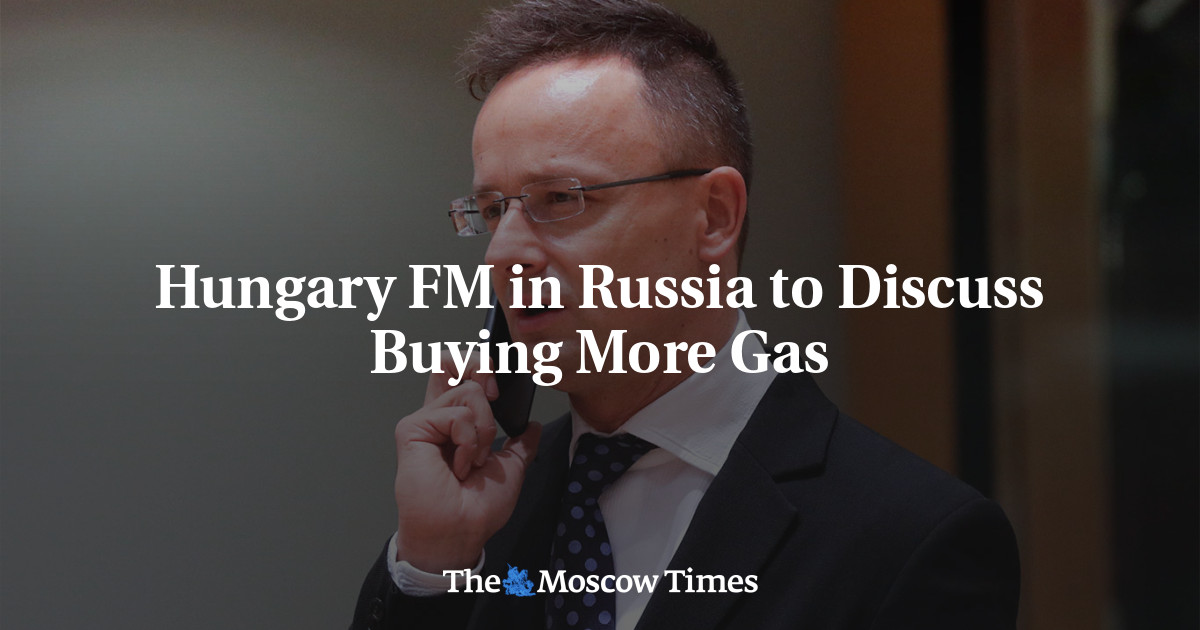 Hungary FM in Russia to Discuss Buying More Gas