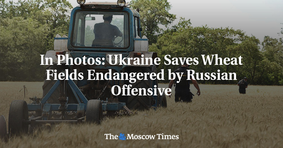 In Photos: Ukraine Saves Wheat Fields Endangered by Russian Offensive