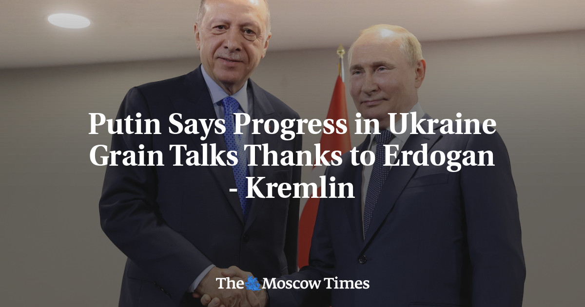 Putin Says Progress in Ukraine Grain Talks Thanks to Erdogan – Kremlin