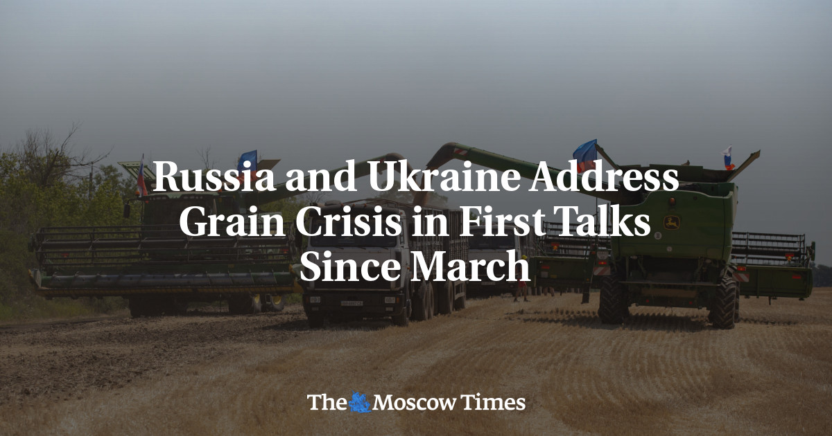 Russia and Ukraine Address Grain Crisis in First Talks Since March