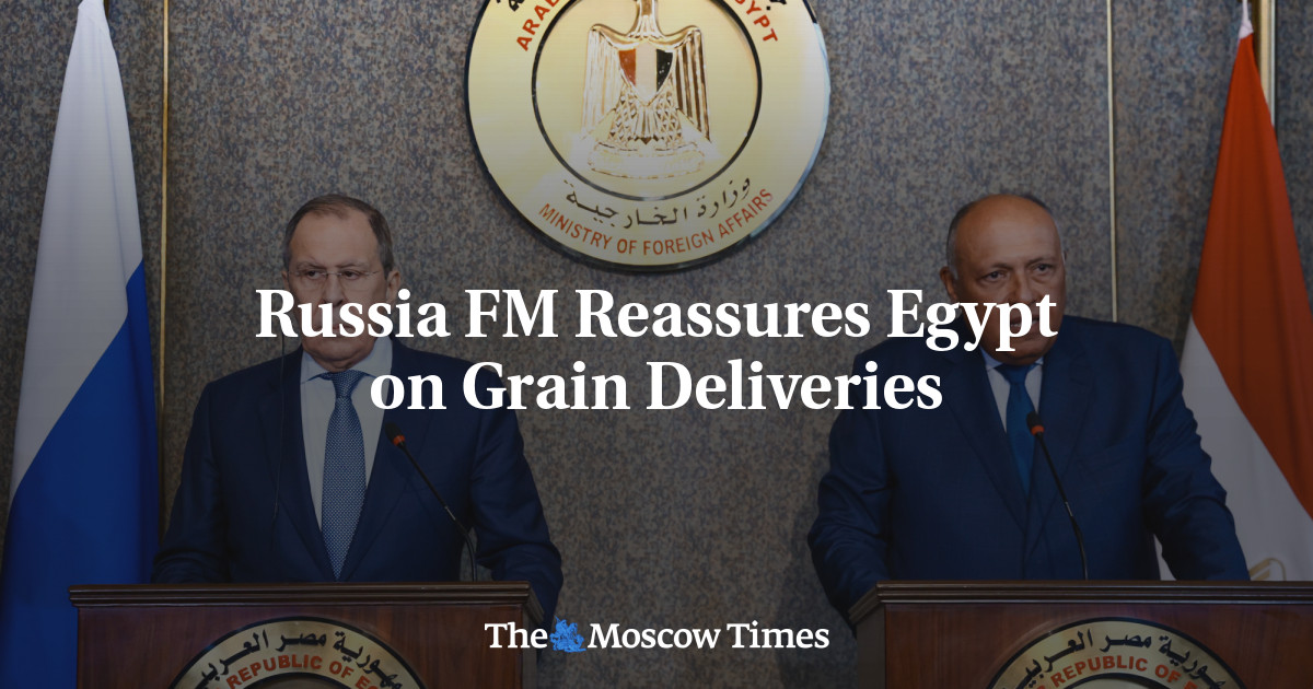 Russia FM Reassures Egypt on Grain Deliveries