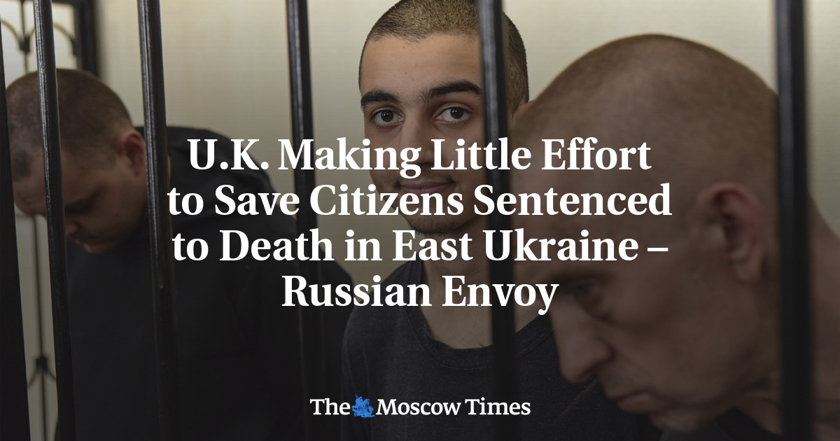 U.K. Making Little Effort to Save Citizens Sentenced to Death in East Ukraine – Russian Envoy