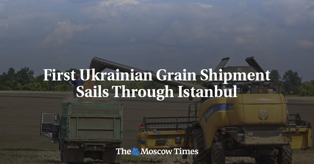 First Ukrainian Grain Shipment Sails Through Istanbul