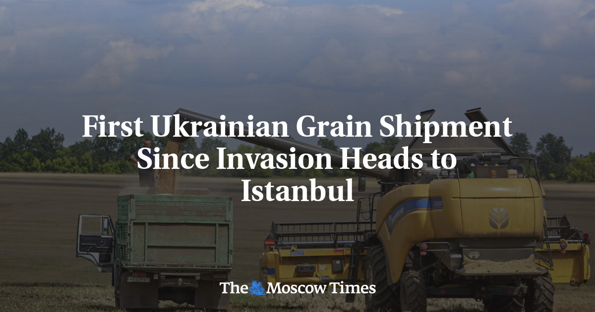 First Ukrainian Grain Shipment Since Invasion Heads to Istanbul
