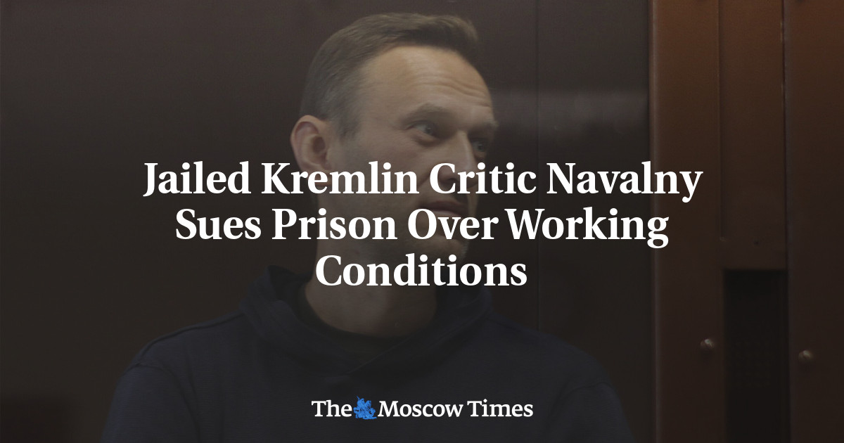 Jailed Kremlin Critic Navalny Sues Prison Over Working Conditions