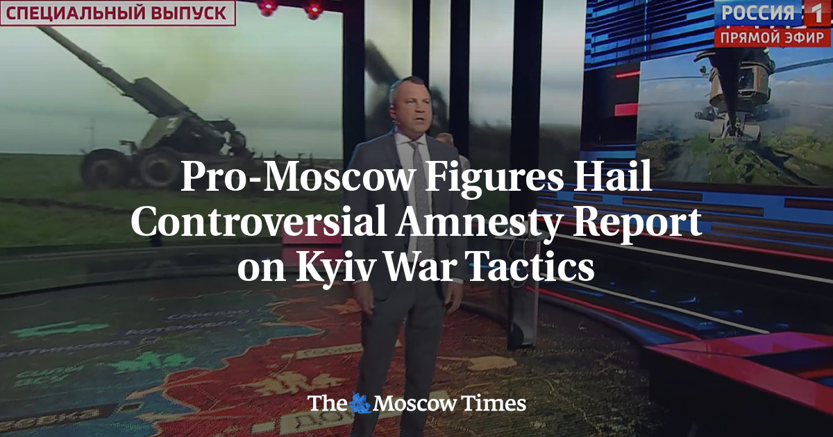 Pro-Moscow Figures Hail Controversial Amnesty Report on Kyiv War Tactics