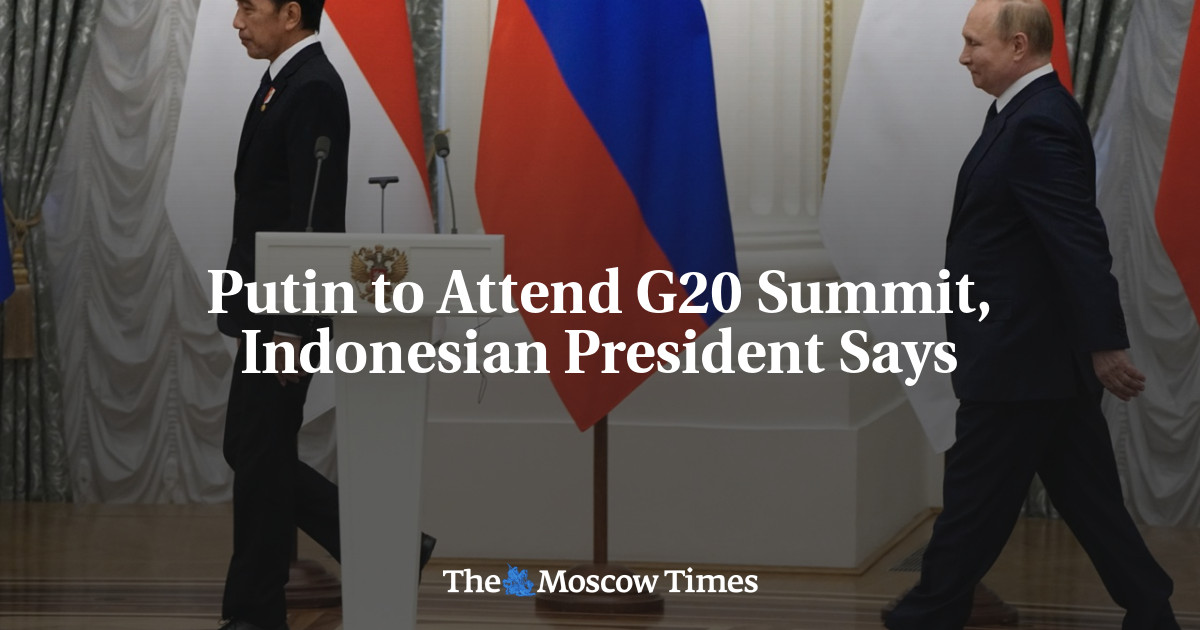Putin to Attend G20 Summit, Indonesian President Says
