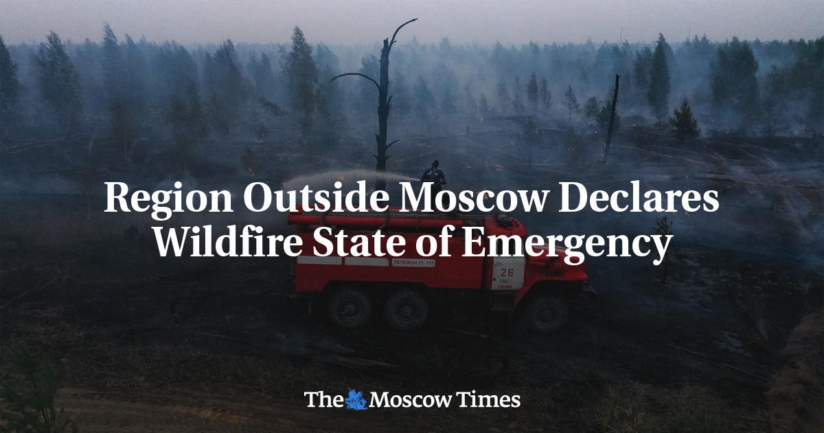 Region Outside Moscow Declares Wildfire State of Emergency