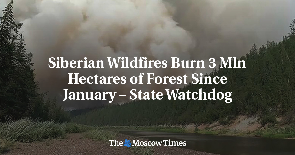 Siberian Wildfires Burn 3 Mln Hectares of Forest Since January – State Watchdog