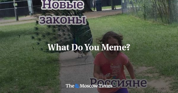 What Do You Meme?