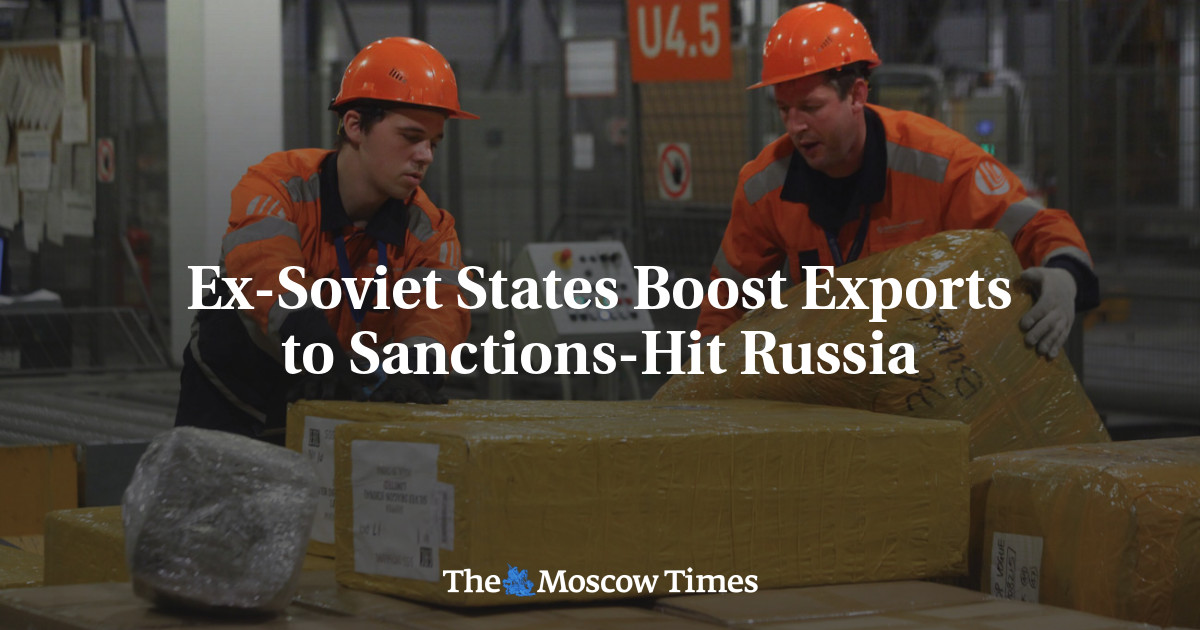 Ex-Soviet States Boost Exports to Sanctions-Hit Russia