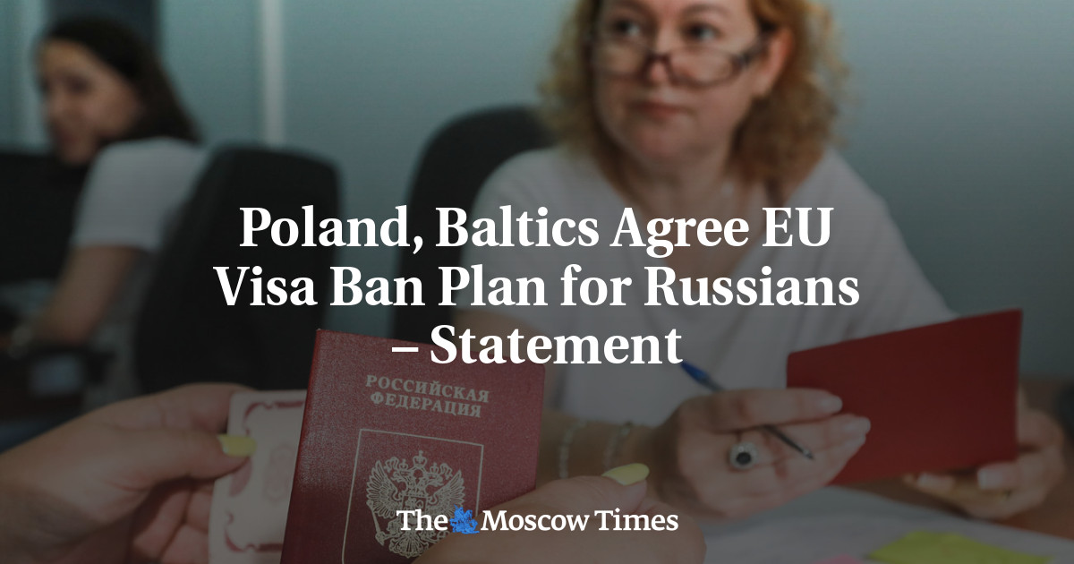 Poland, Baltics Agree EU Visa Ban Plan for Russians – Statement