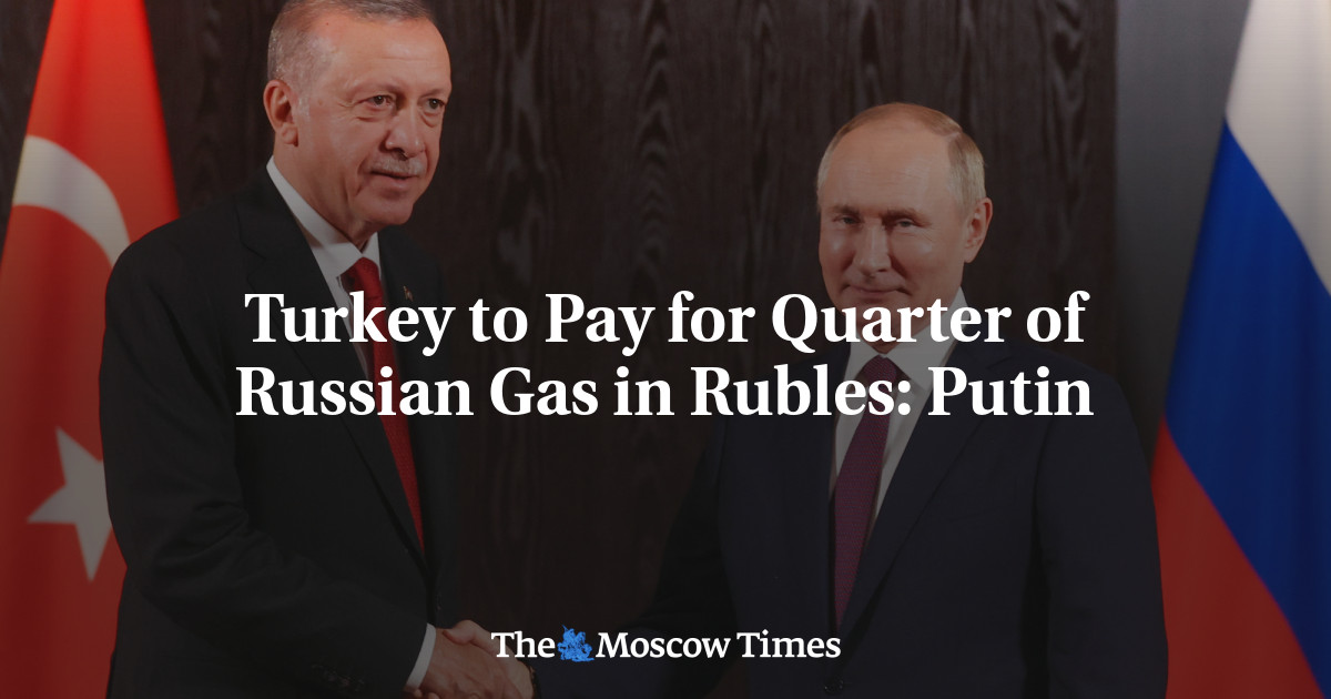 Turkey to Pay for Quarter of Russian Gas in Rubles: Putin