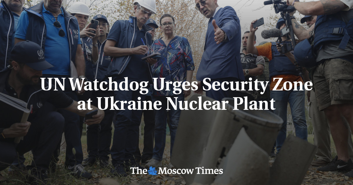 UN Watchdog Urges Security Zone at Ukraine Nuclear Plant