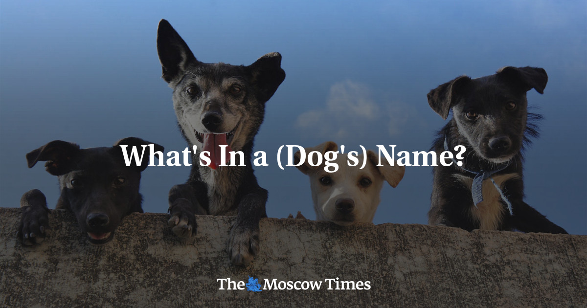 What’s In a (Dog’s) Name?