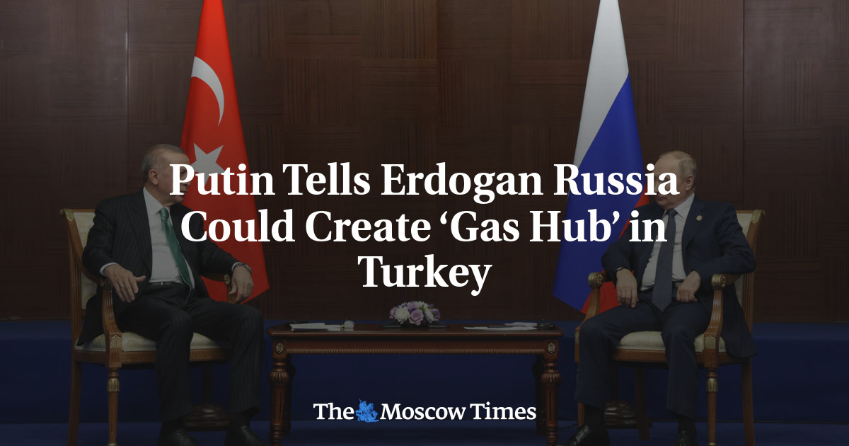 Putin Tells Erdogan Russia Could Create ‘Gas Hub’ in Turkey