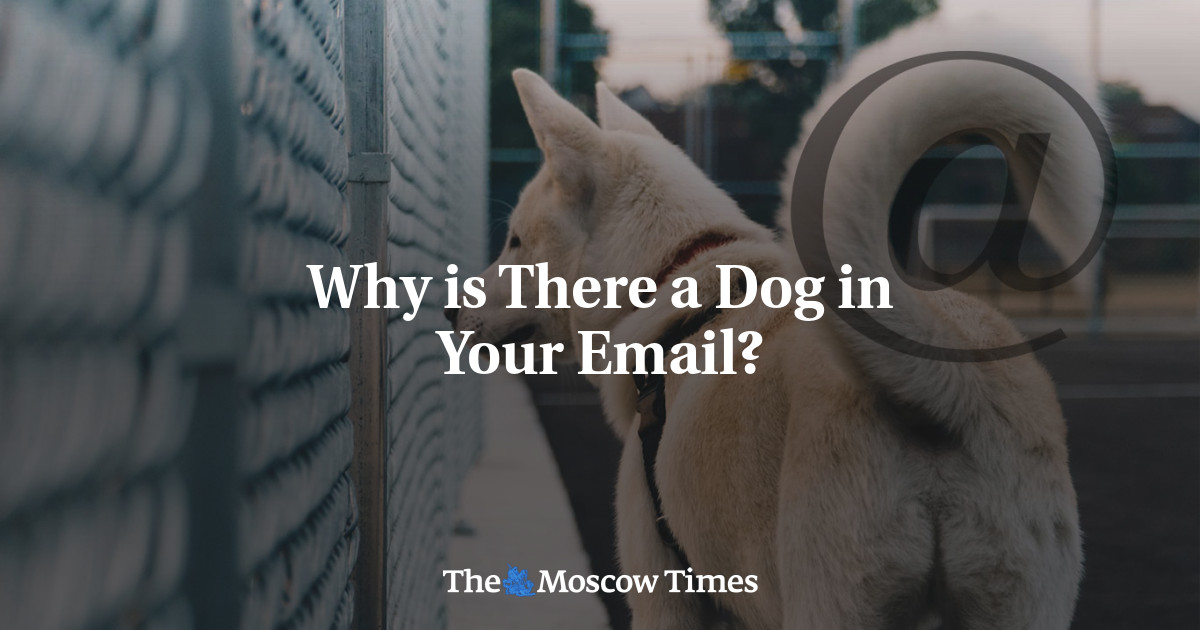 Why is There a Dog in Your Email?