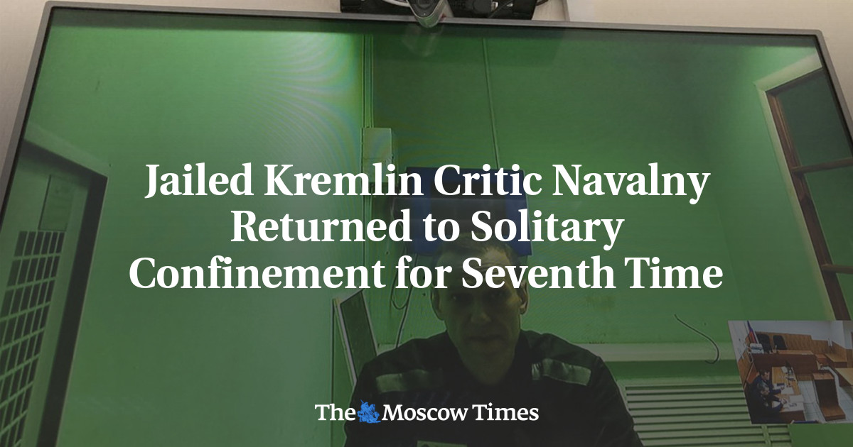 Jailed Kremlin Critic Navalny Returned to Solitary Confinement for Seventh Time