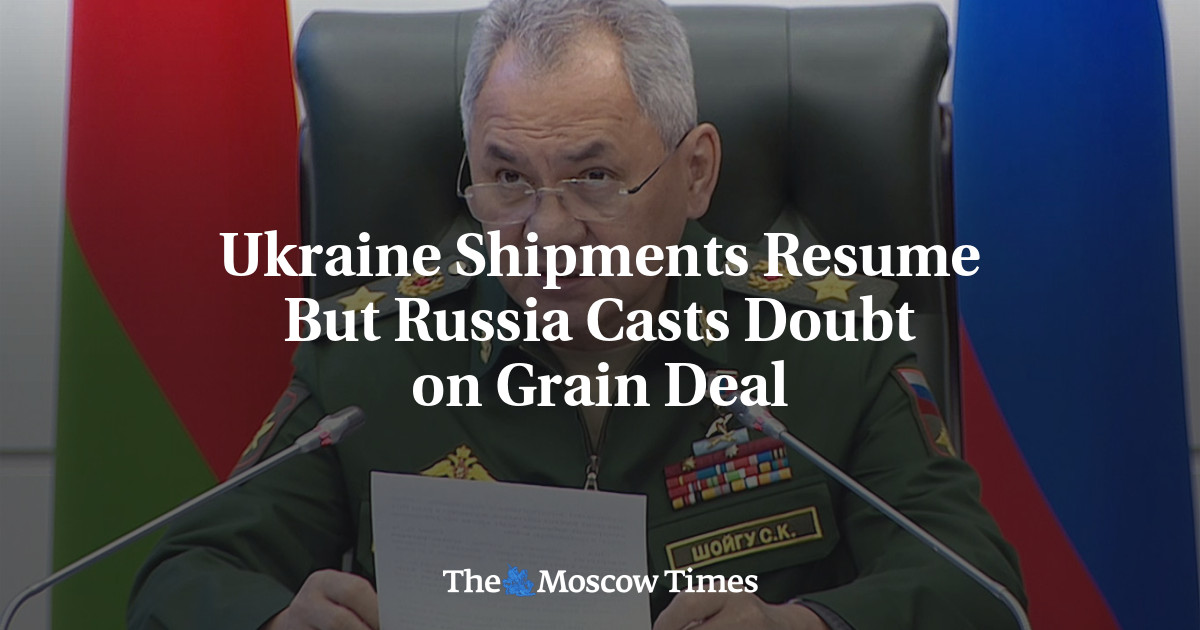 Ukraine Shipments Resume But Russia Casts Doubt on Grain Deal