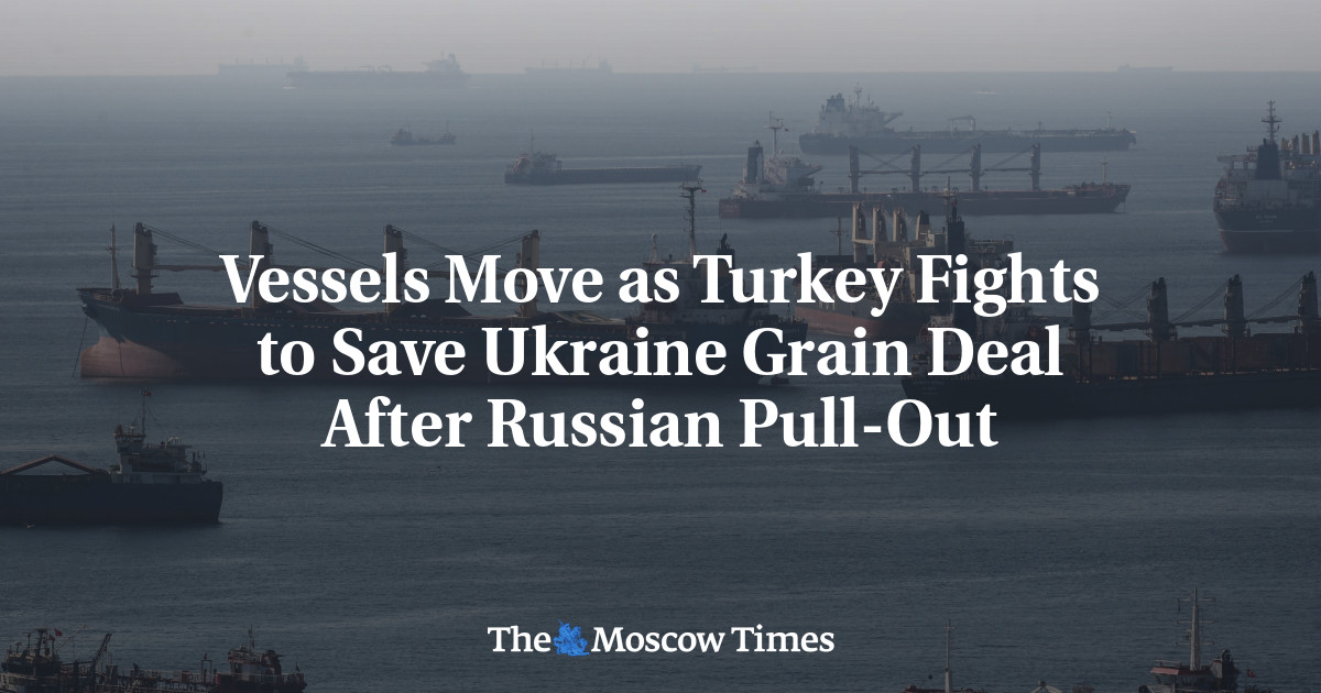 Vessels Move as Turkey Fights to Save Ukraine Grain Deal After Russian Pull-Out