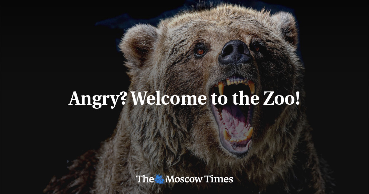 Angry? Welcome to the Zoo!
