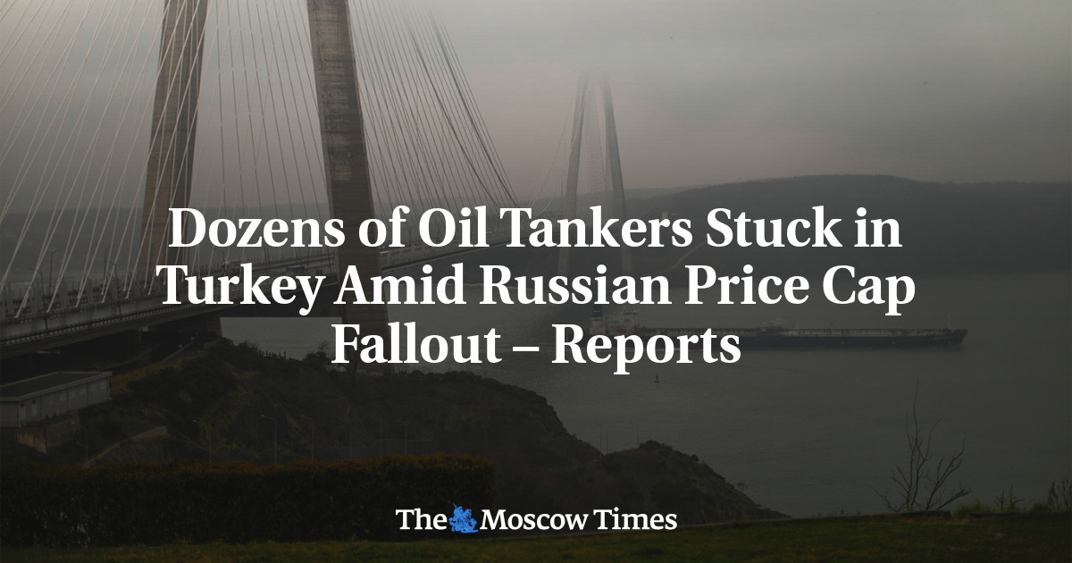 Dozens of Oil Tankers Stuck in Turkey Amid Russian Price Cap Fallout – Reports