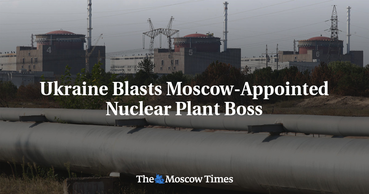 Ukraine Blasts Moscow-Appointed Nuclear Plant Boss
