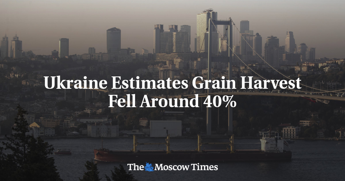 Ukraine Estimates Grain Harvest Fell Around 40%