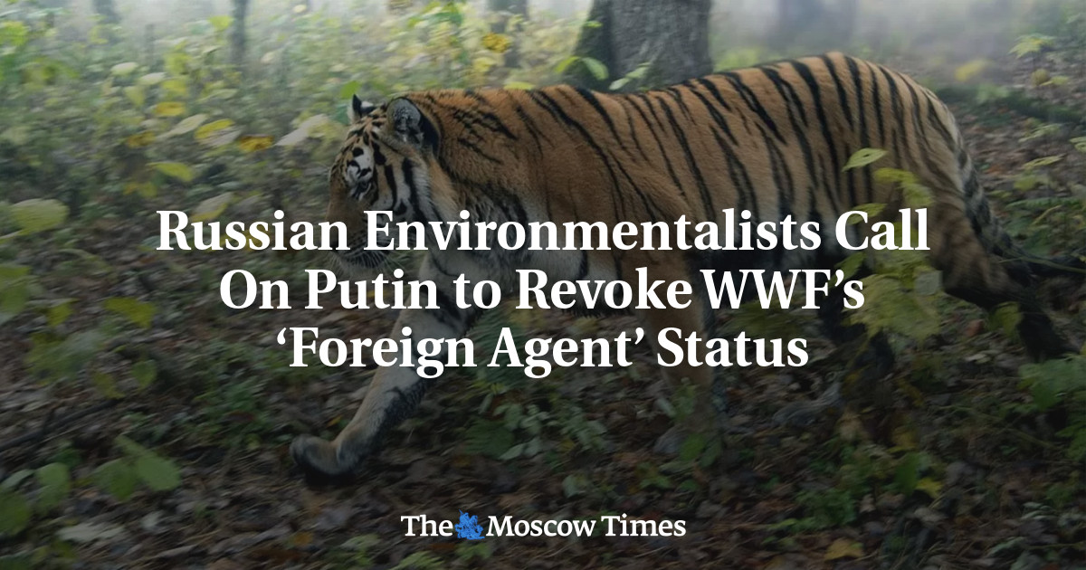 Russian Environmentalists Call On Putin to Revoke WWF’s ‘Foreign Agent’ Status