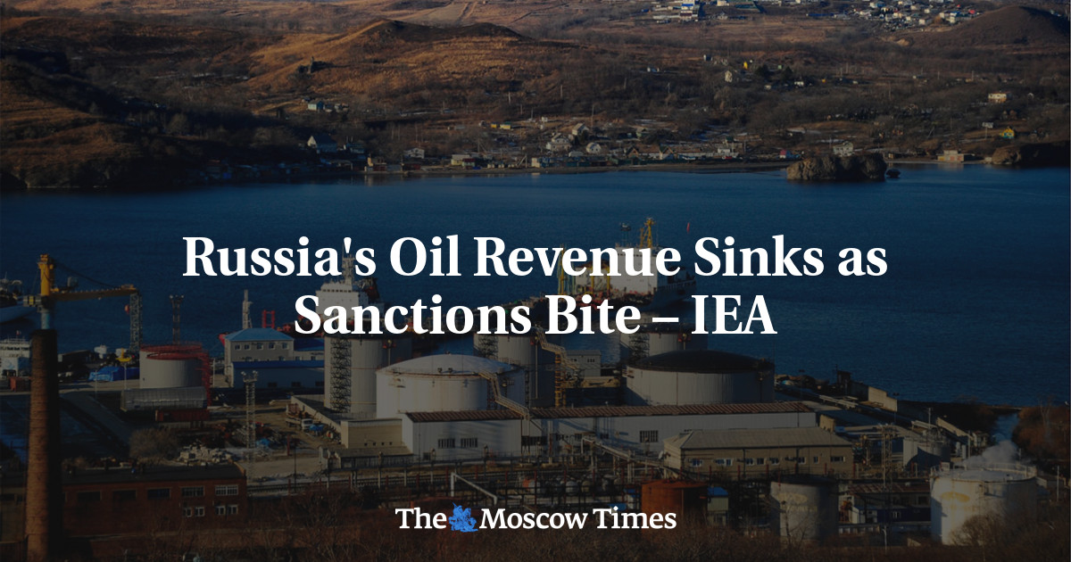 Russia’s Oil Revenue Sinks as Sanctions Bite – IEA